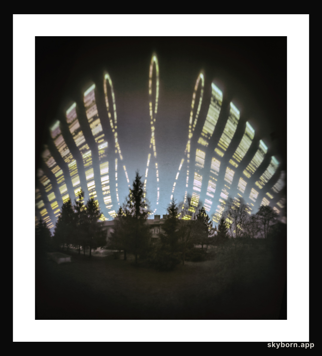 Solargraphic Analemmas