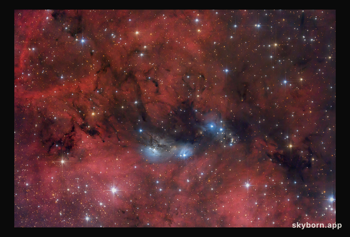The NGC 6914 Complex