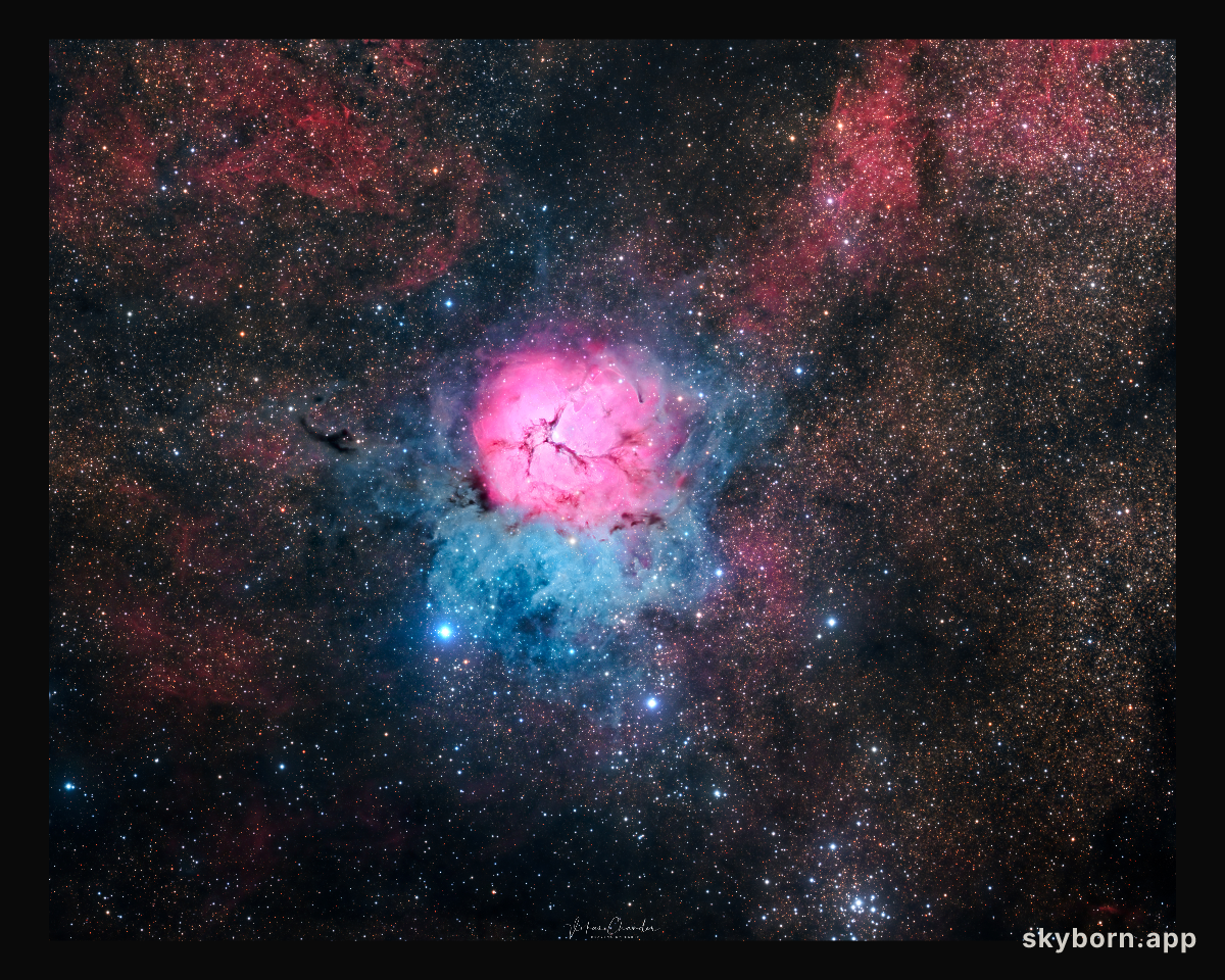 A Beautiful Trifid