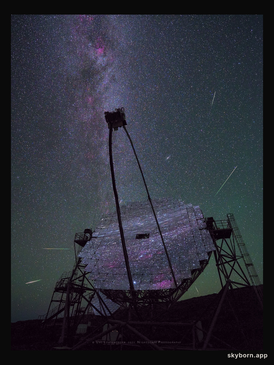 Perseids and MAGIC