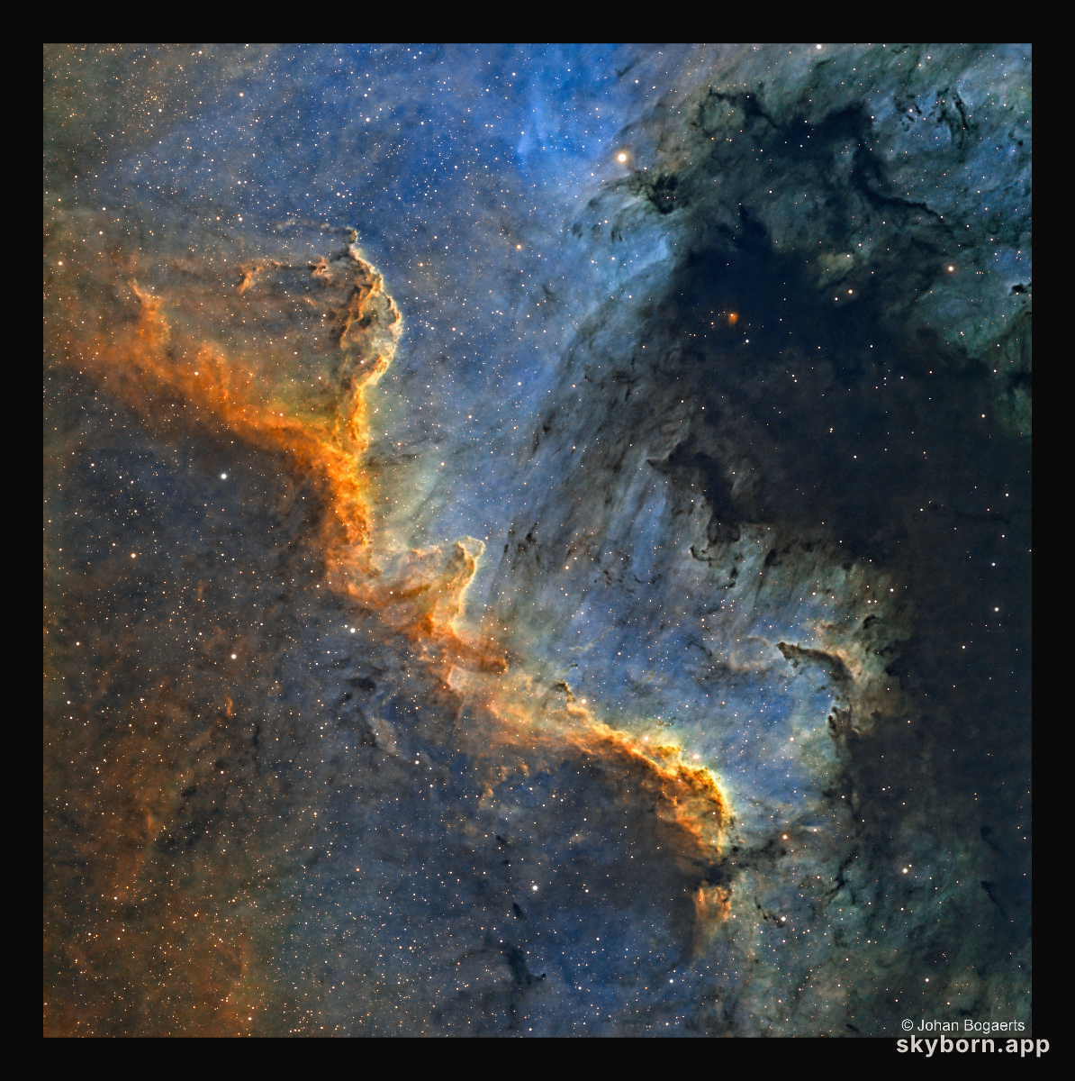 The Cygnus Wall of Star Formation