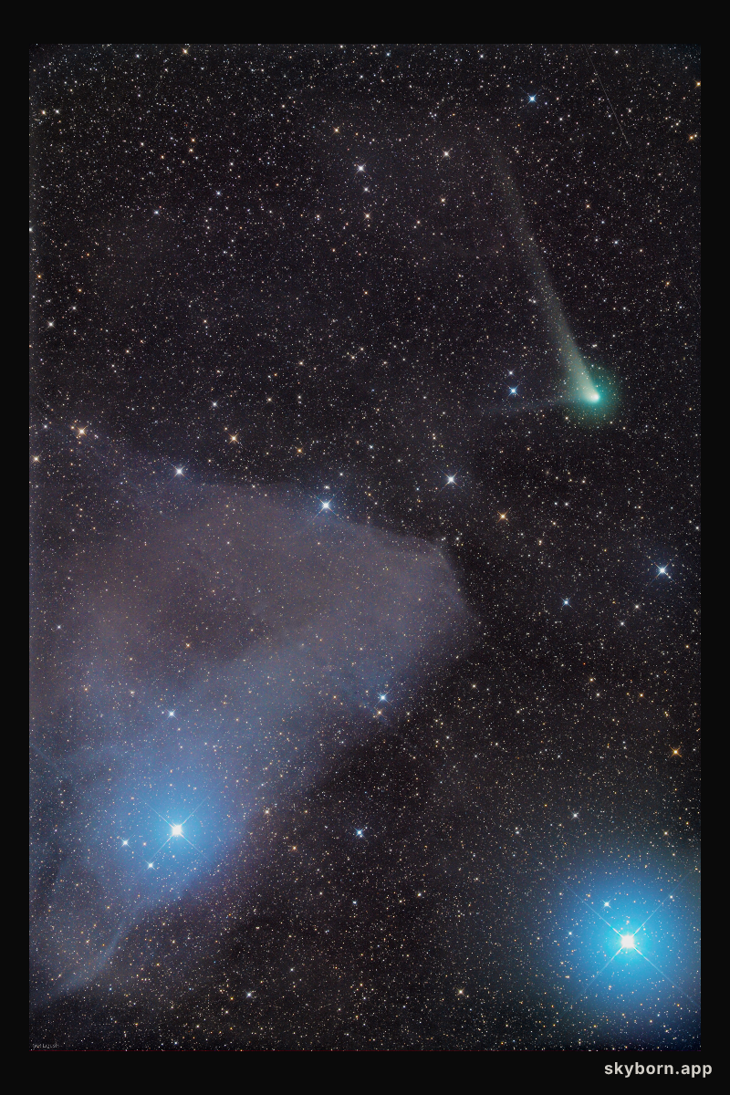 Stardust and Comet Tails