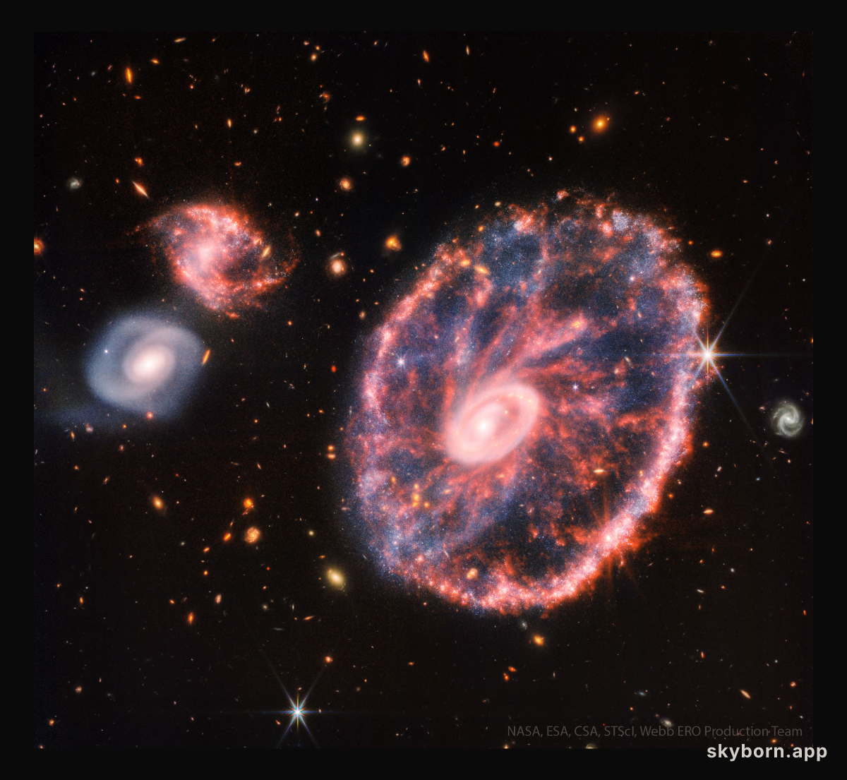 The Cartwheel Galaxy from Webb