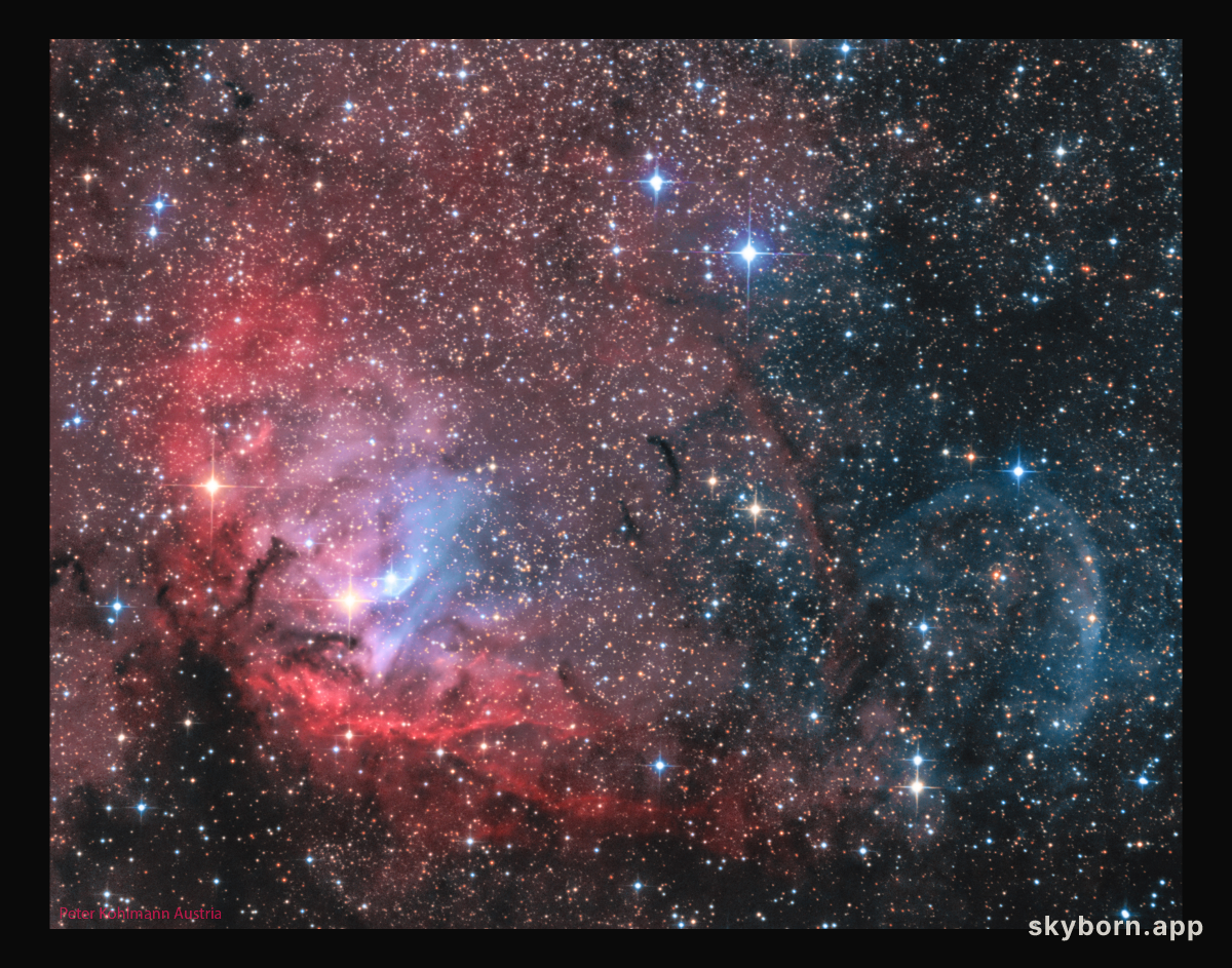 The Tulip and Cygnus X-1