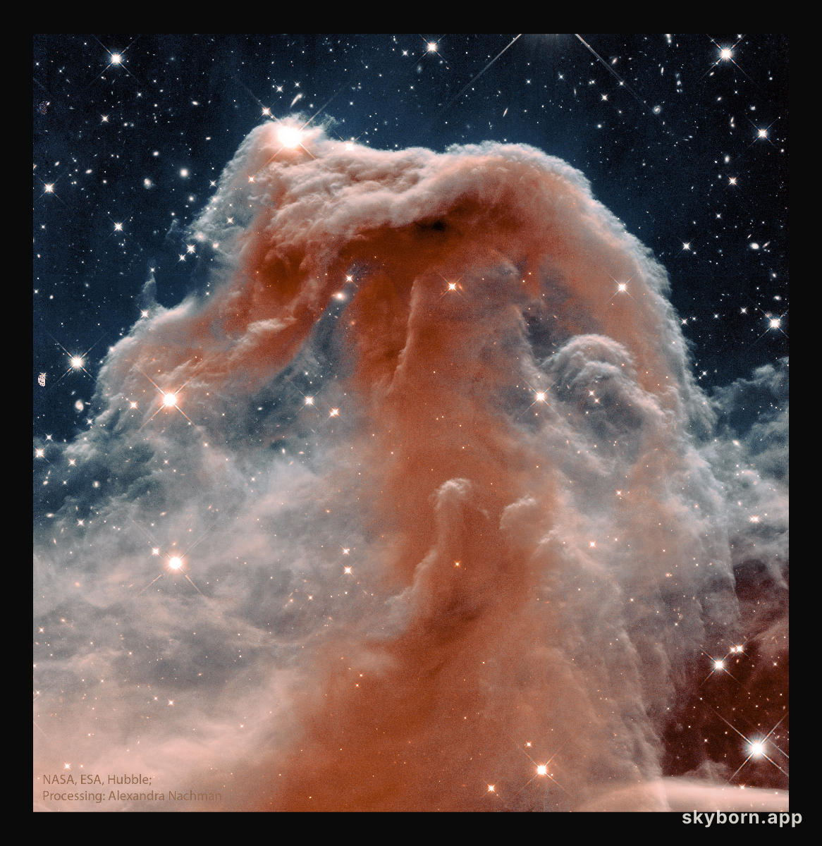 The Horsehead Nebula in Infrared from Hubble