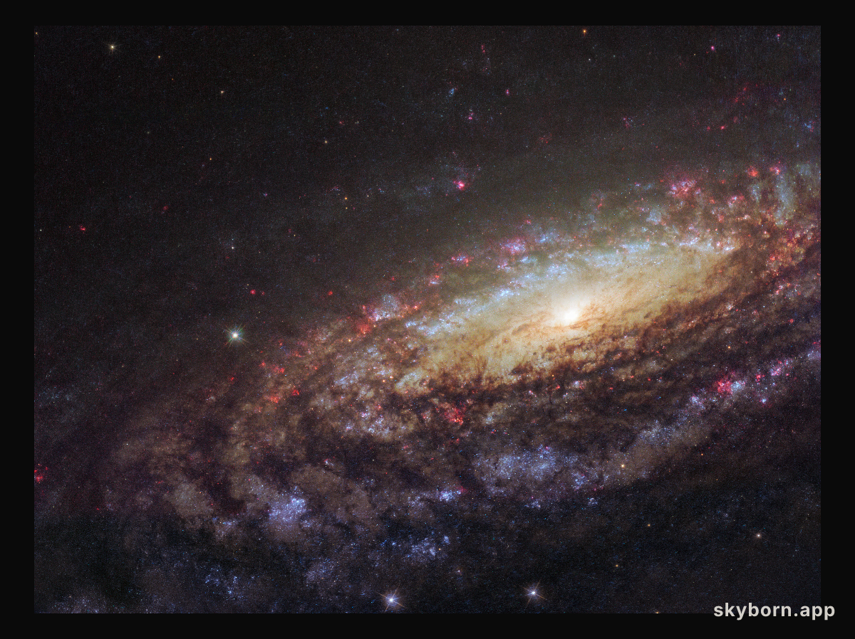 NGC 7331 Close Up
