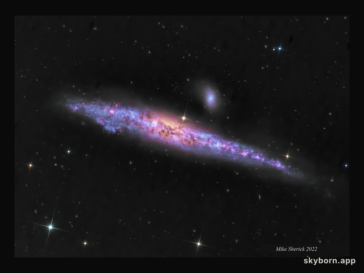NGC 4631: The Whale Galaxy