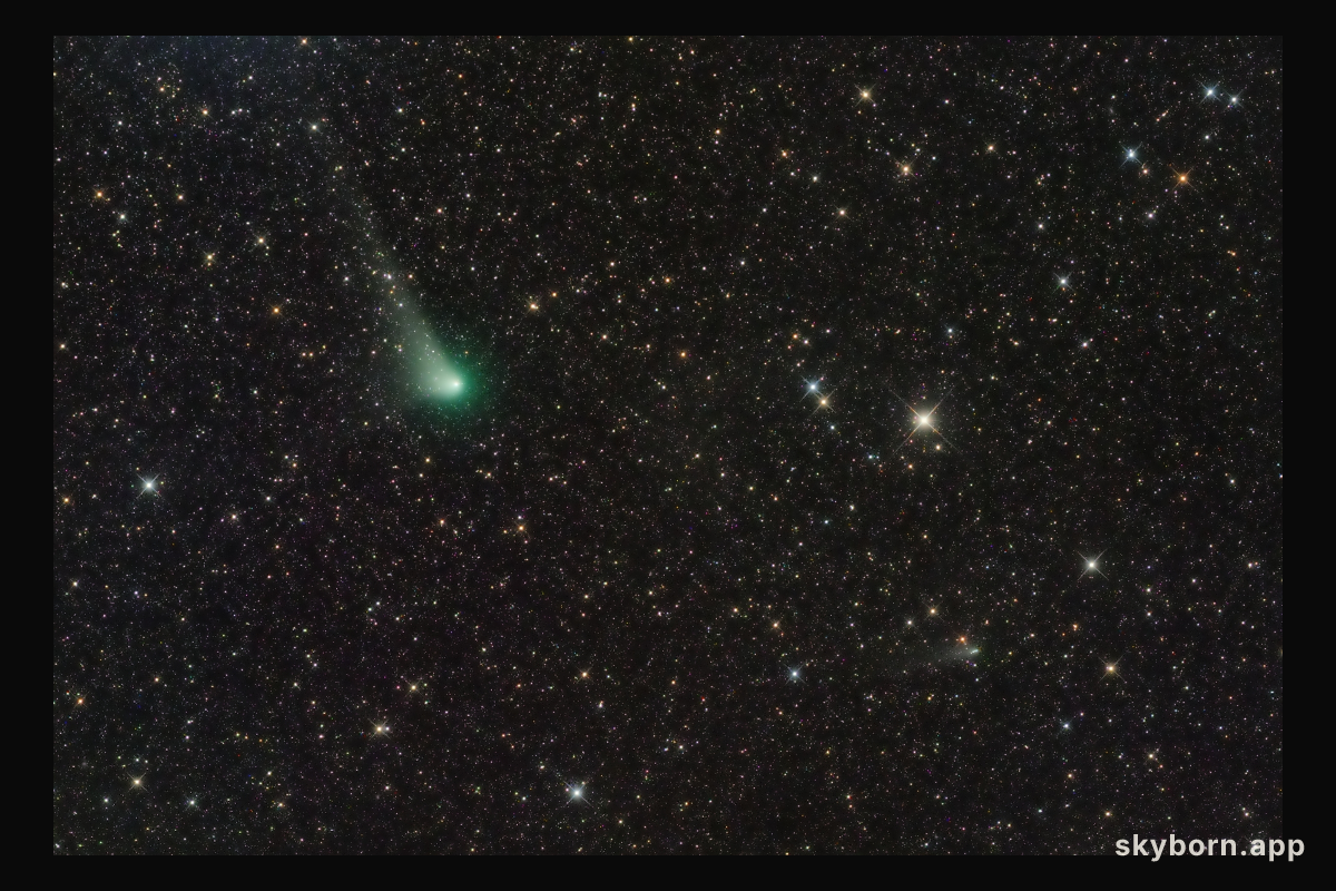 Two Comets in Southern Skies