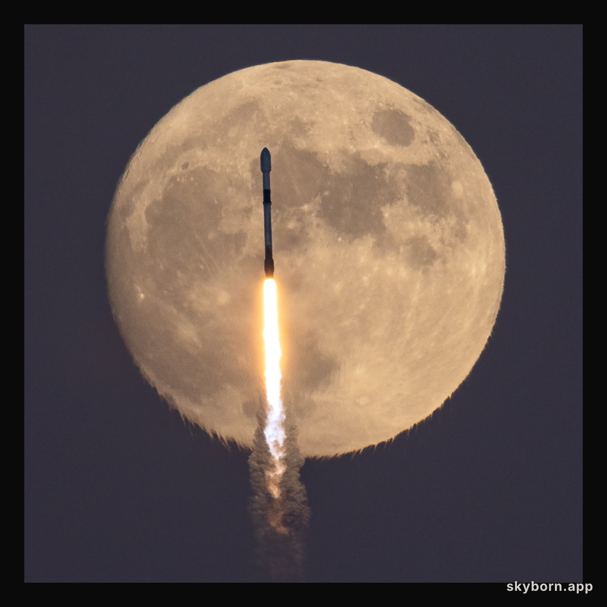The Falcon and the Hunter's Moon