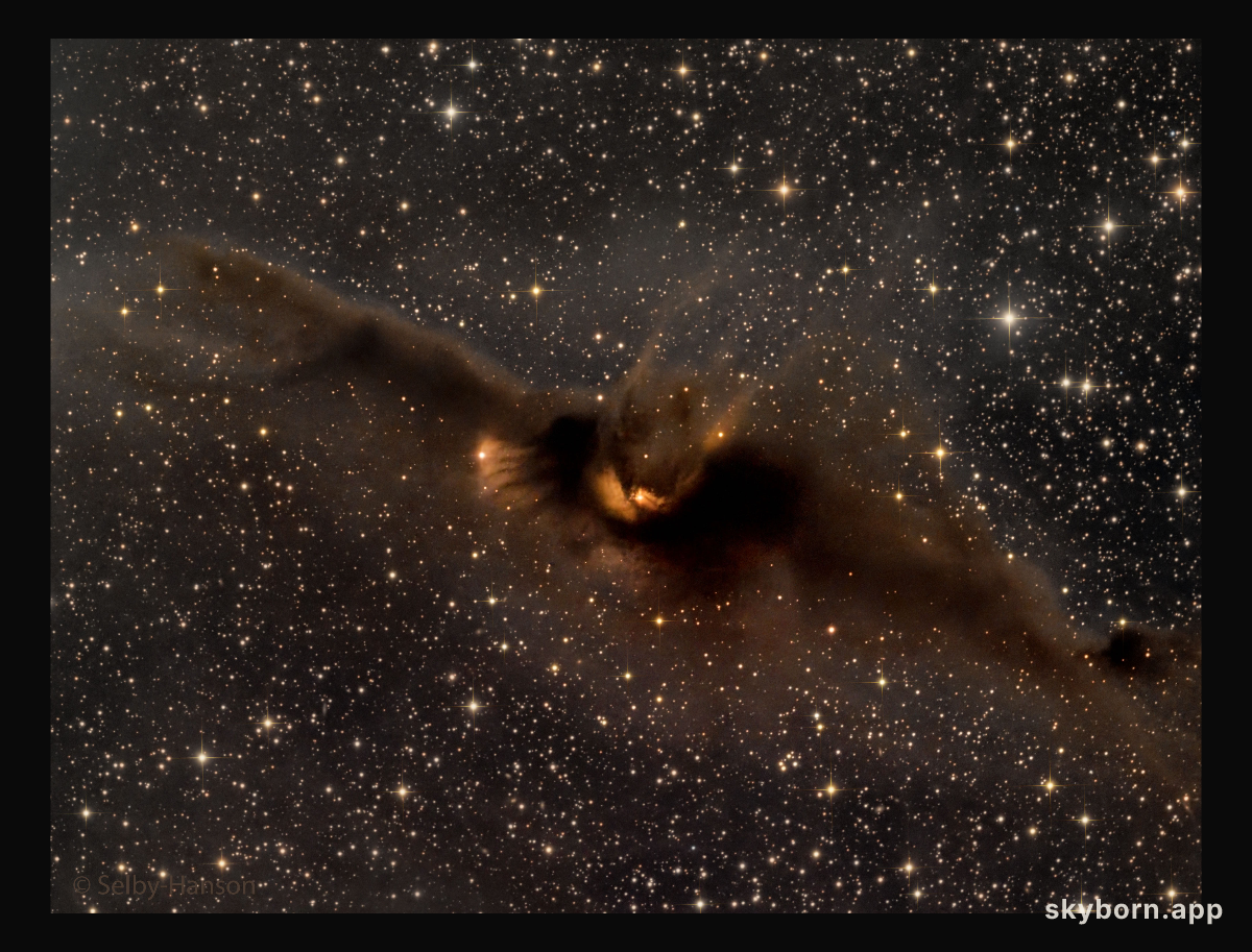 LDN 43: The Cosmic Bat Nebula