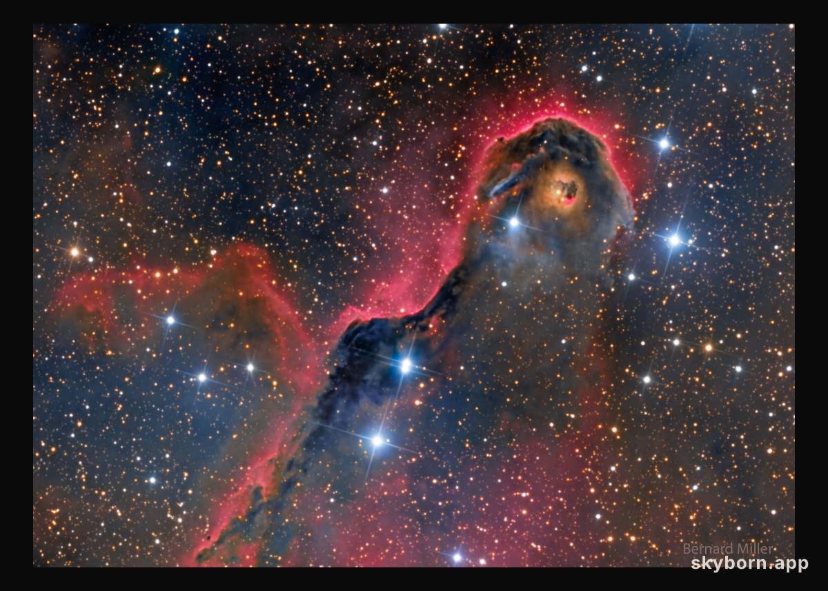An Unusual Globule in IC 1396