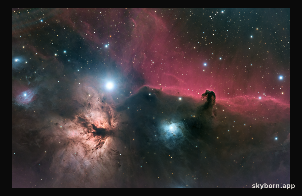 Horsehead and Flame