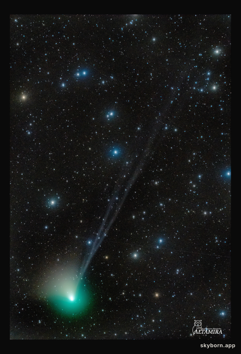 Tails of Comet ZTF