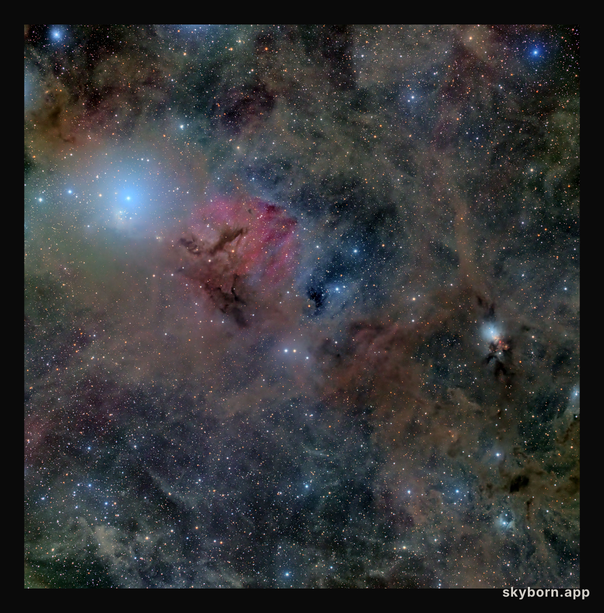 Stardust in Perseus
