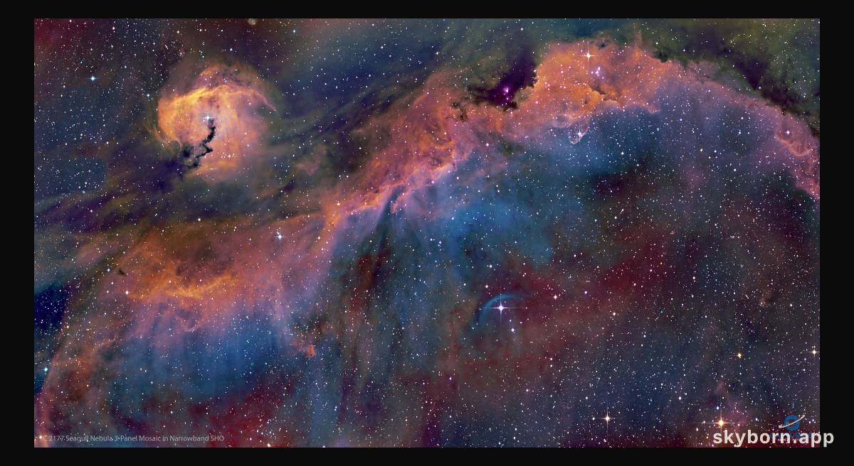 The Seagull Nebula