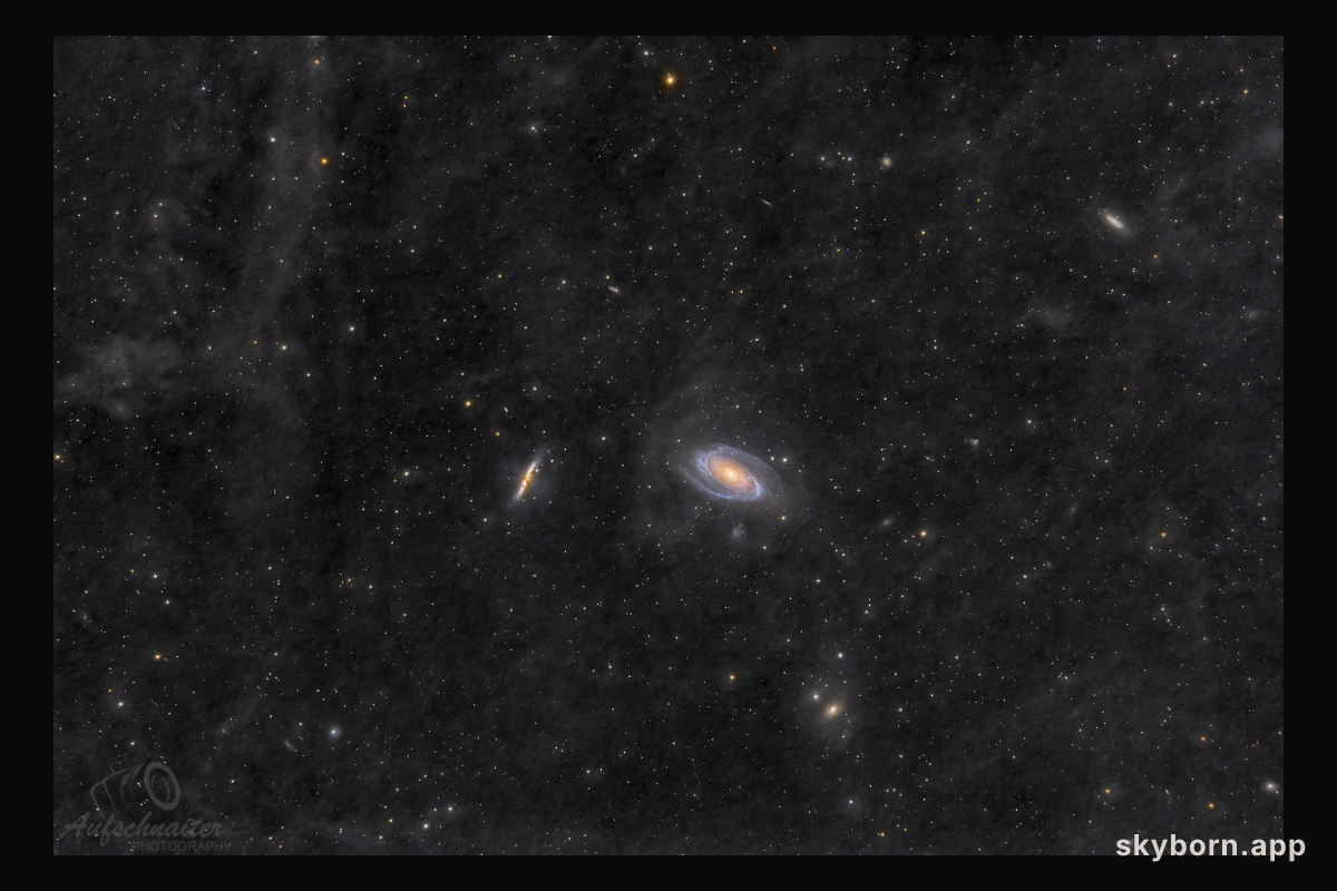 Galaxy Wars: M81 and M82