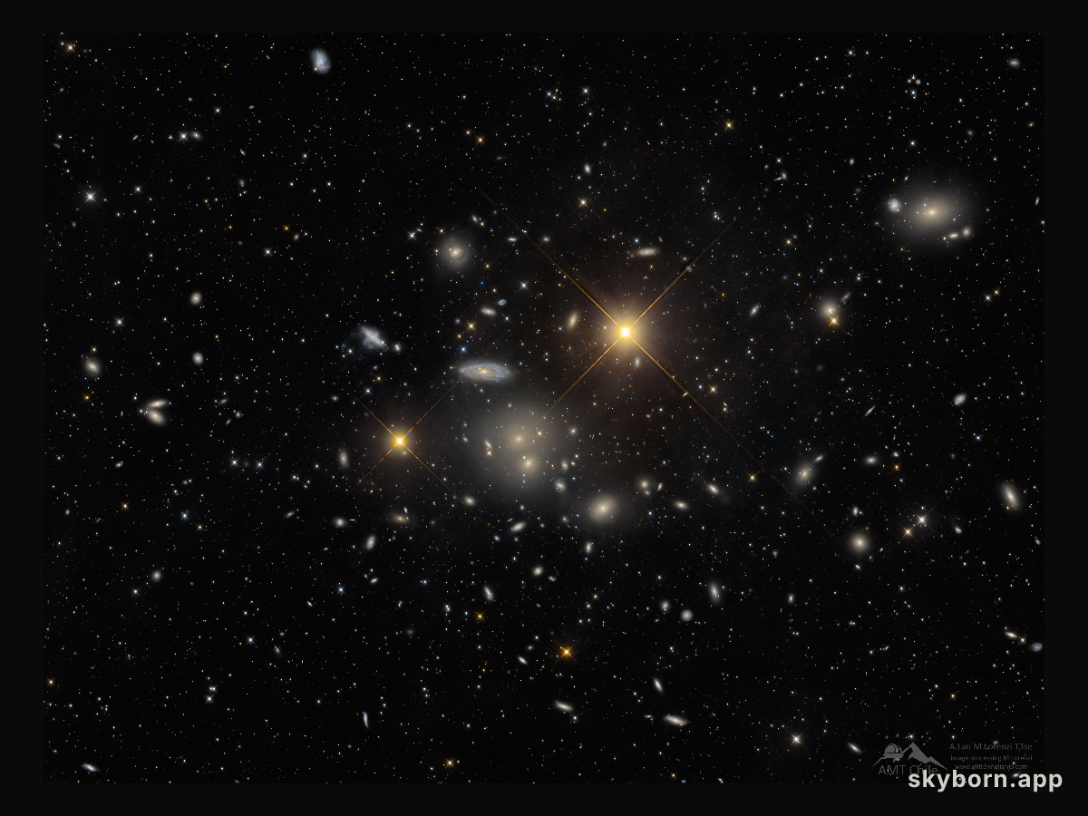 The Hydra Cluster of Galaxies