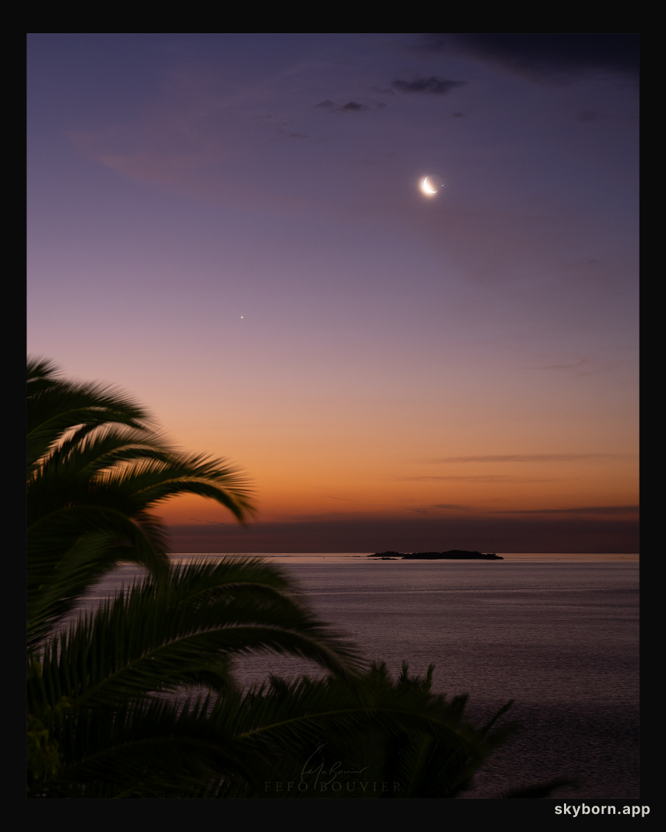 Crescent Moon Occultation