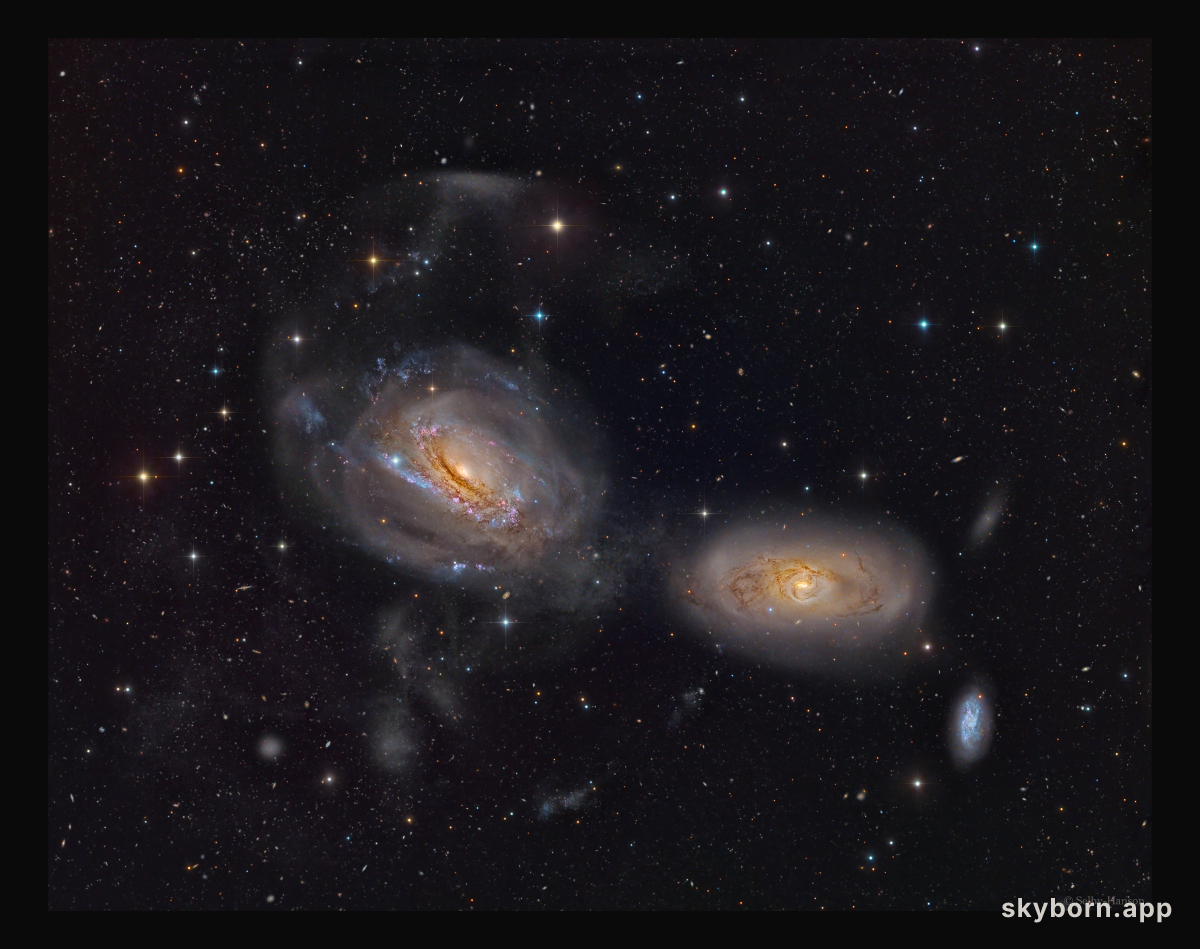 Unraveling NGC 3169