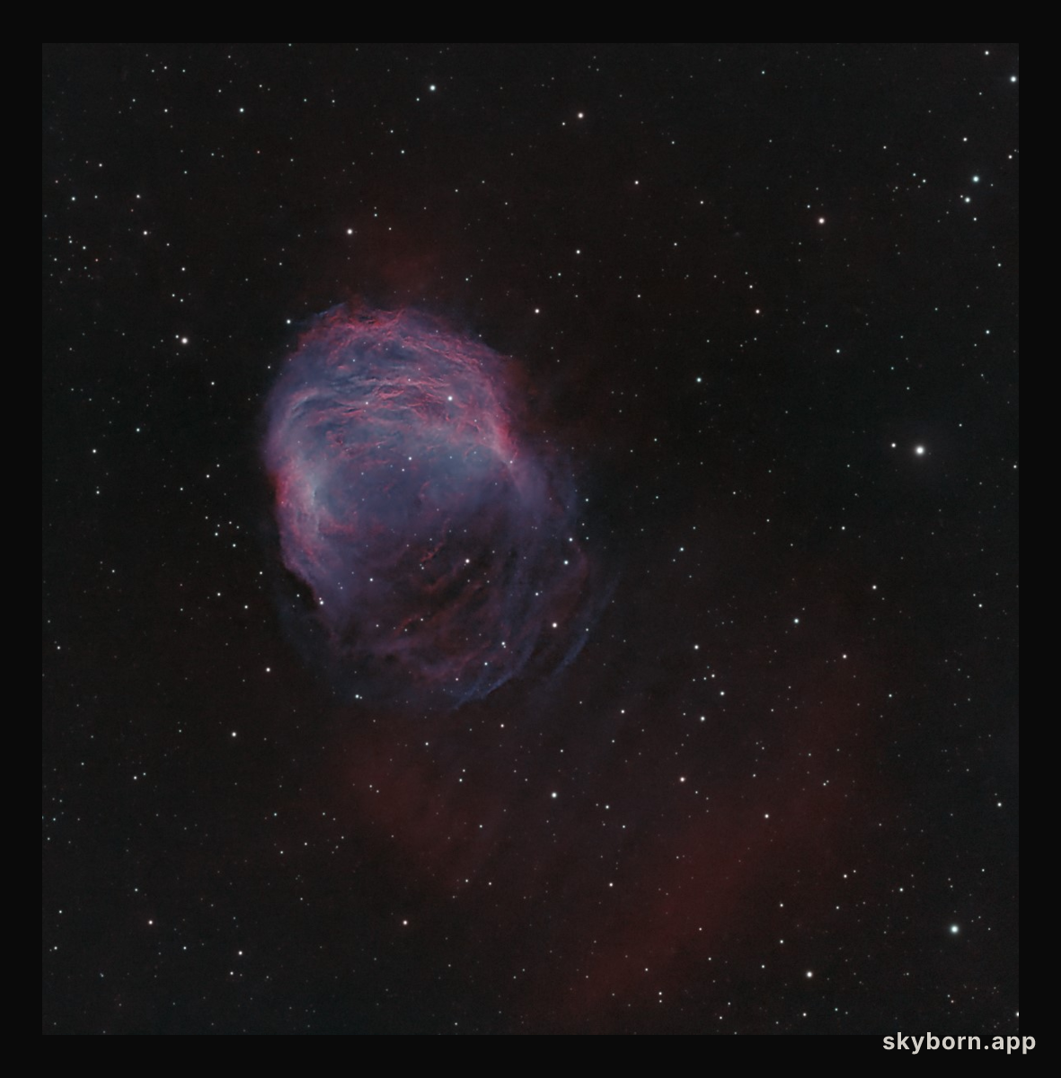 The Medusa Nebula