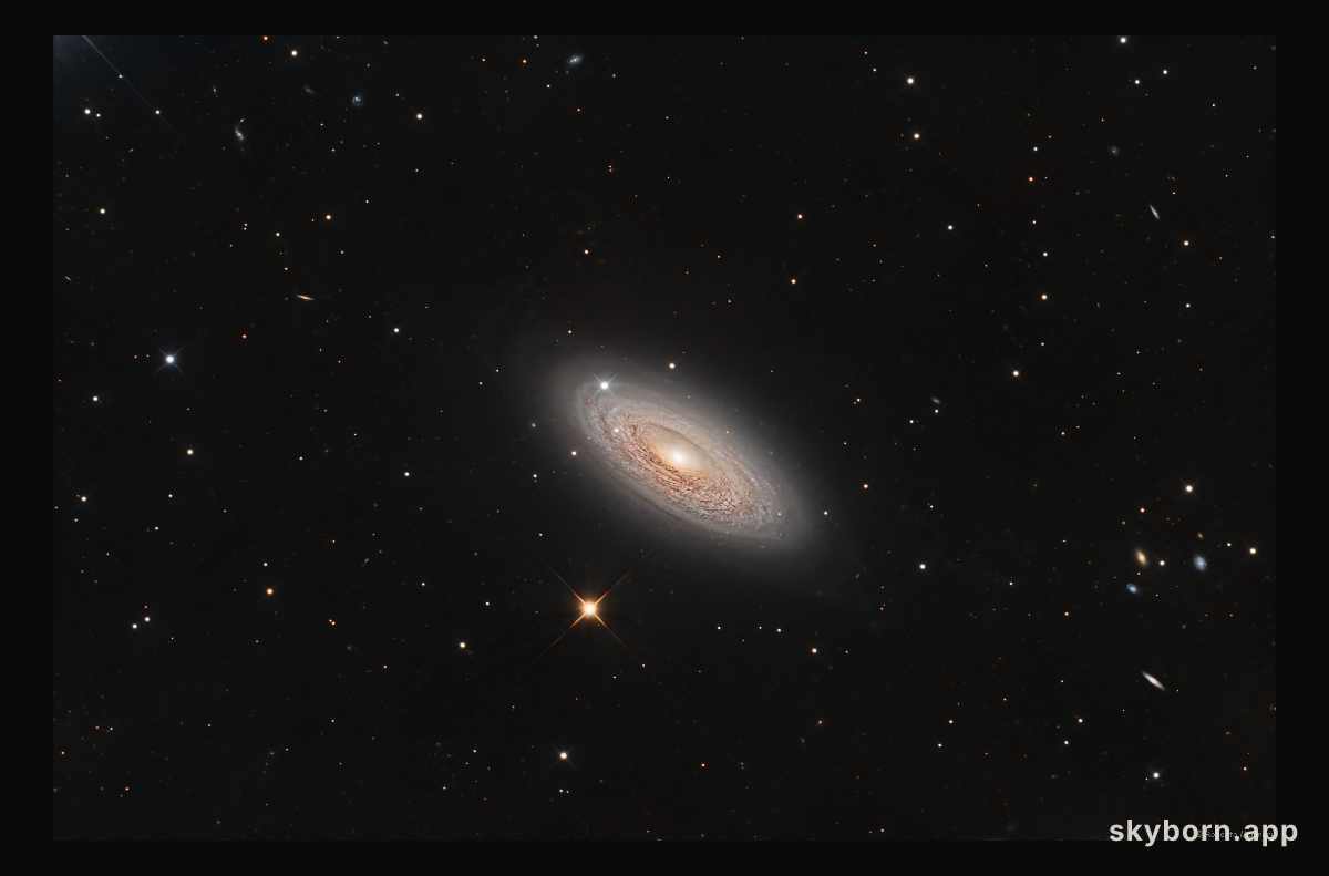 Spiral Galaxy NGC 2841