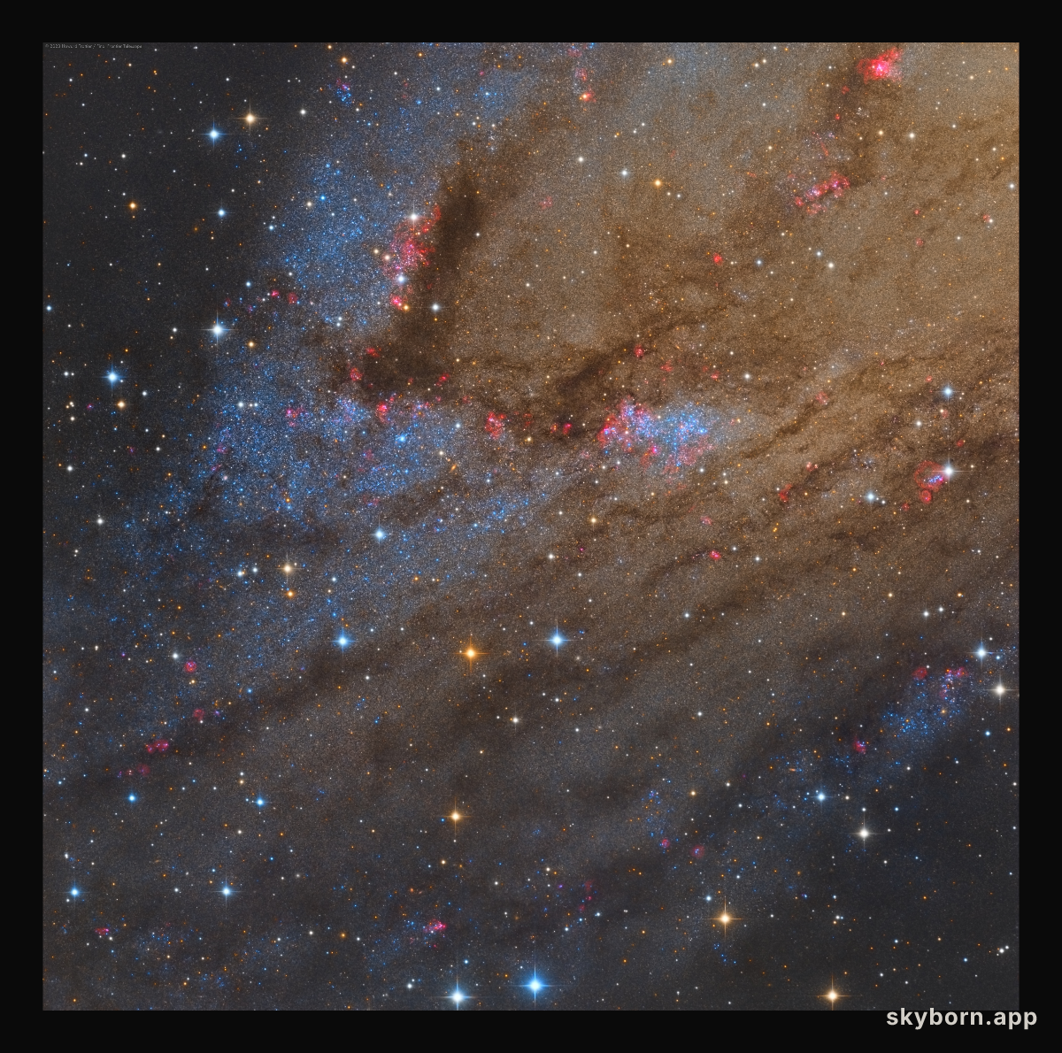 NGC 206 and the Star Clouds of Andromeda