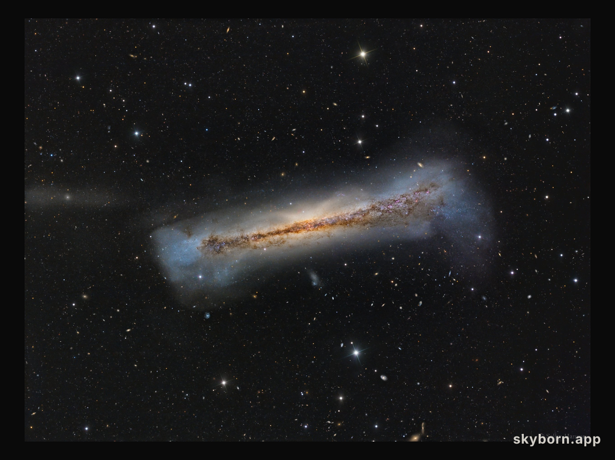 Portrait of NGC 3628