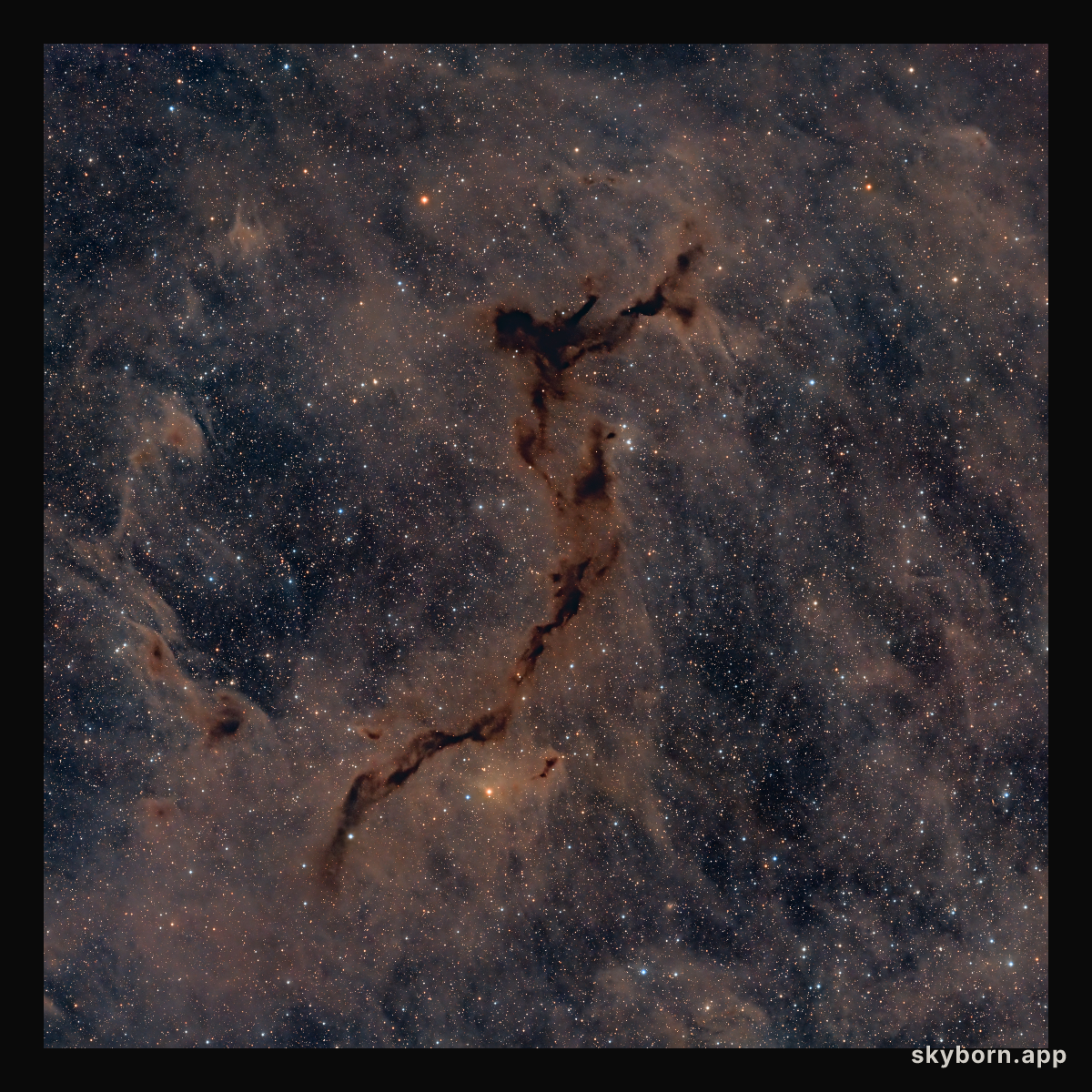 The Dark Seahorse in Cepheus