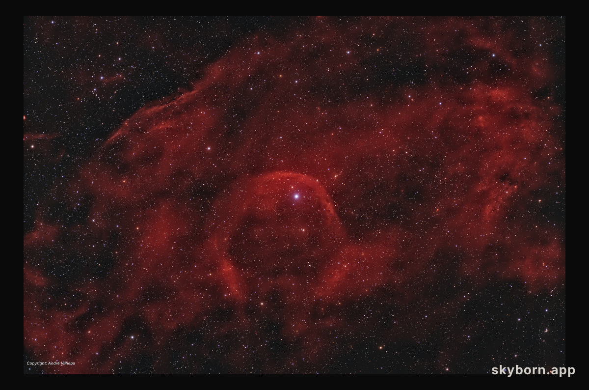 Runaway Star Alpha Camelopardalis