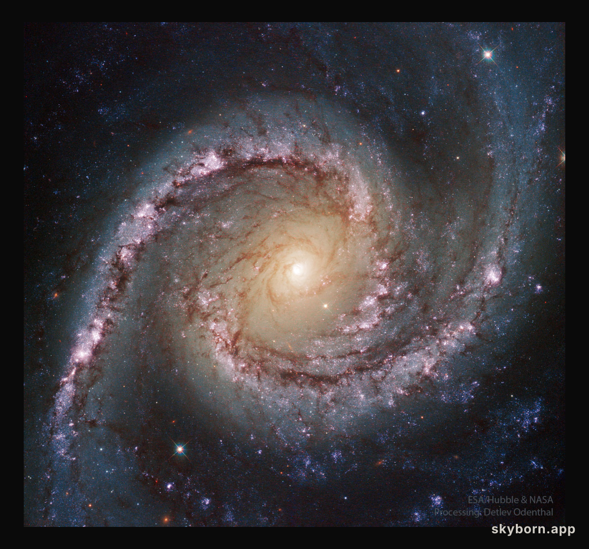 The Spanish Dancer Spiral Galaxy