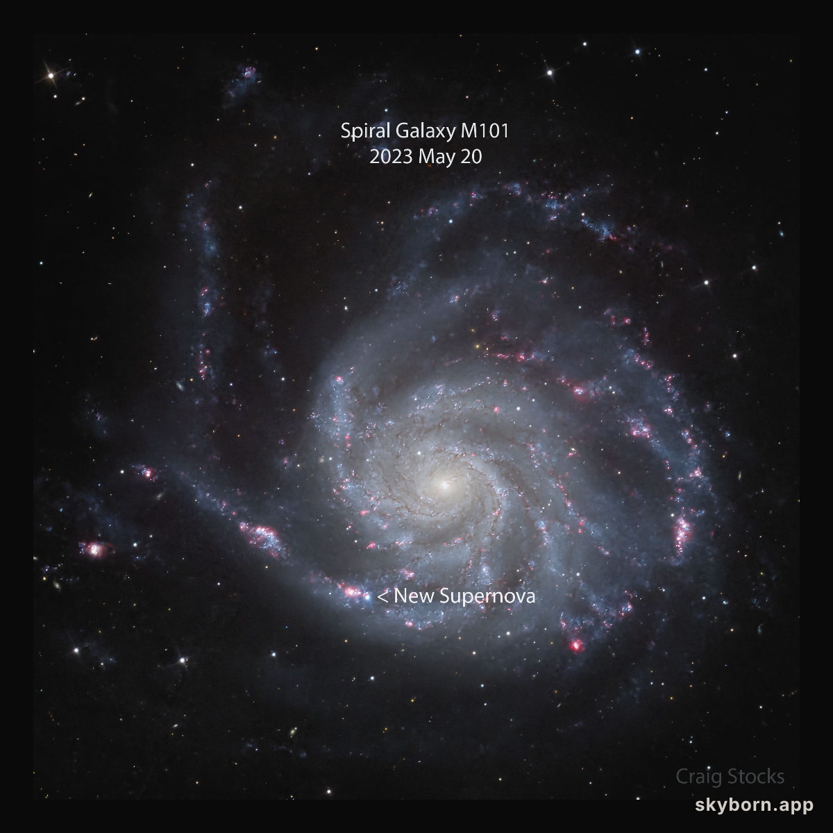 Supernova Discovered in Nearby Spiral Galaxy M101