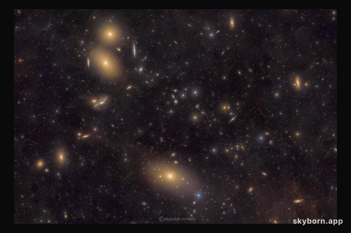 Virgo Cluster Galaxies