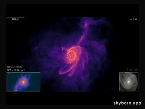 Simulation: A Disk Galaxy Forms