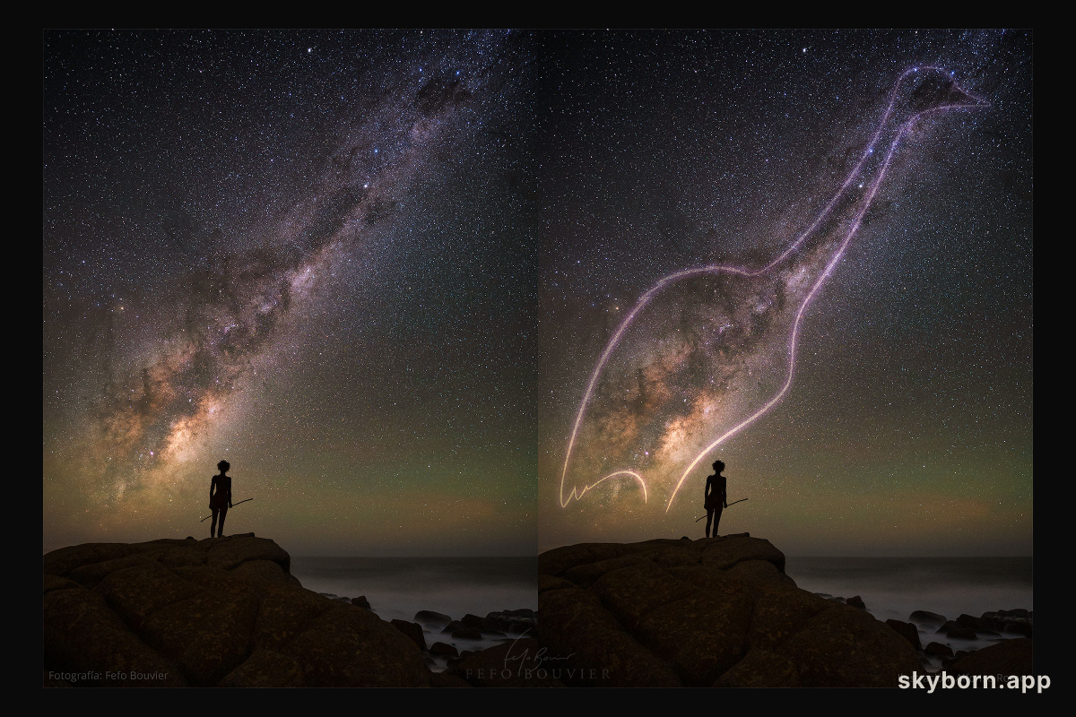 The Ñandú in the Milky Way