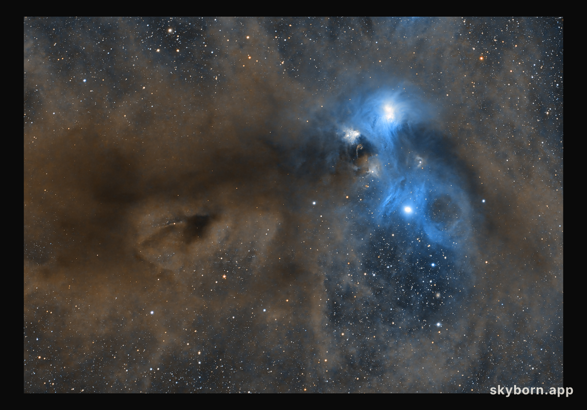 Stars and Dust across Corona Australis
