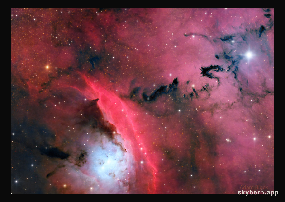 Stars, Dust and Nebula in NGC 6559