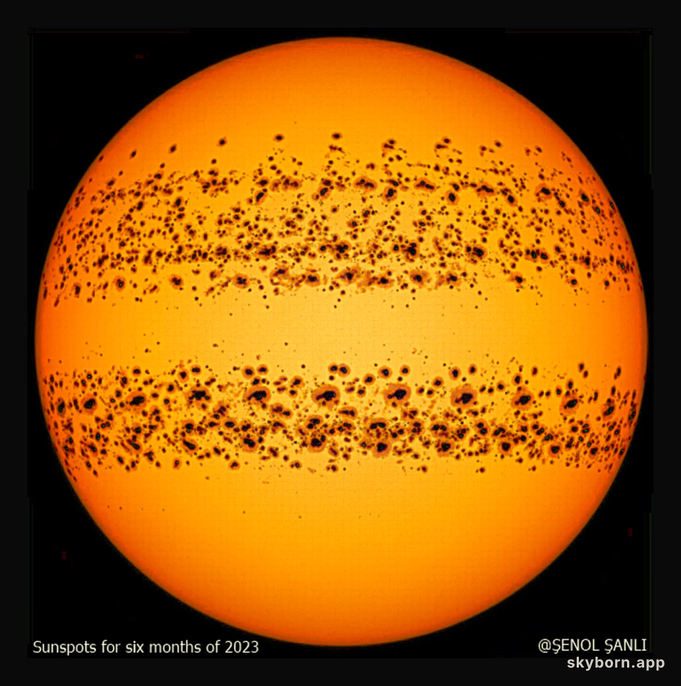 Sunspots on an Active Sun