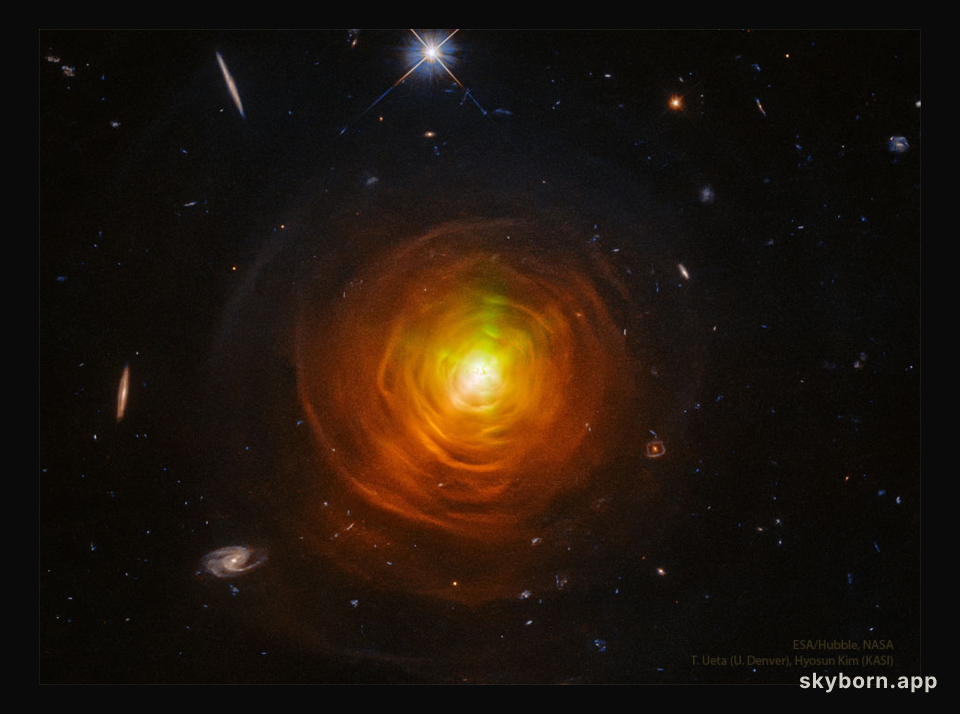 Shells and Arcs around Star CW Leonis