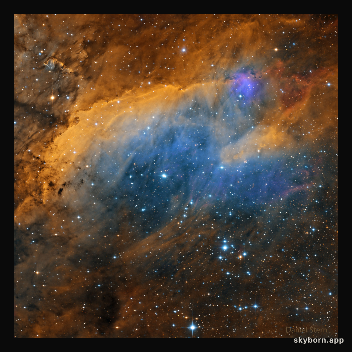 IC 4628: The Prawn Nebula
