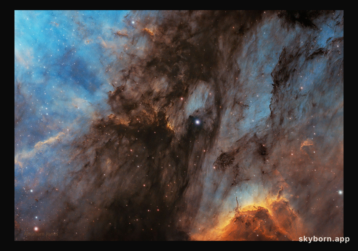The Pelican Nebula in Gas, Dust, and Stars