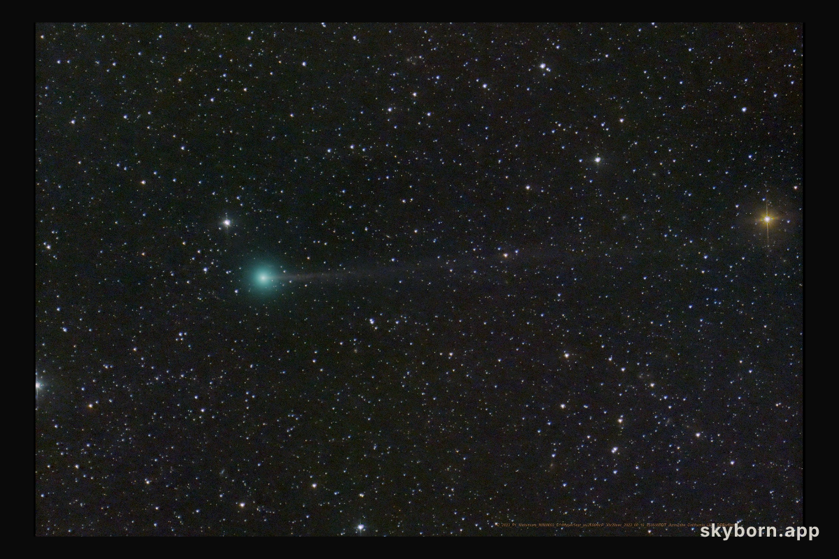 Introducing Comet Nishimura