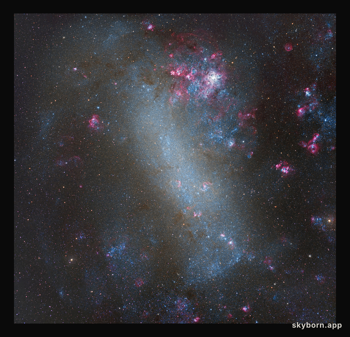 The Large Cloud of Magellan