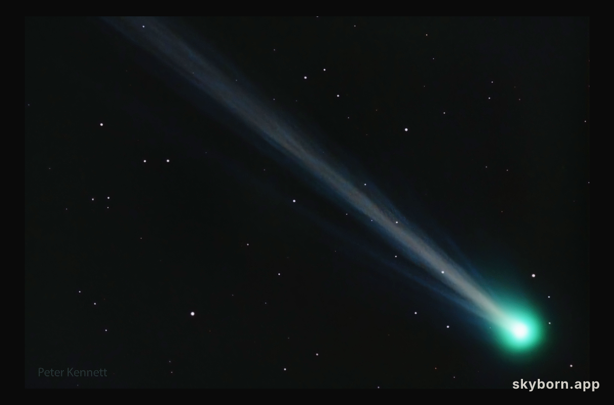 Comet Nishimura Grows