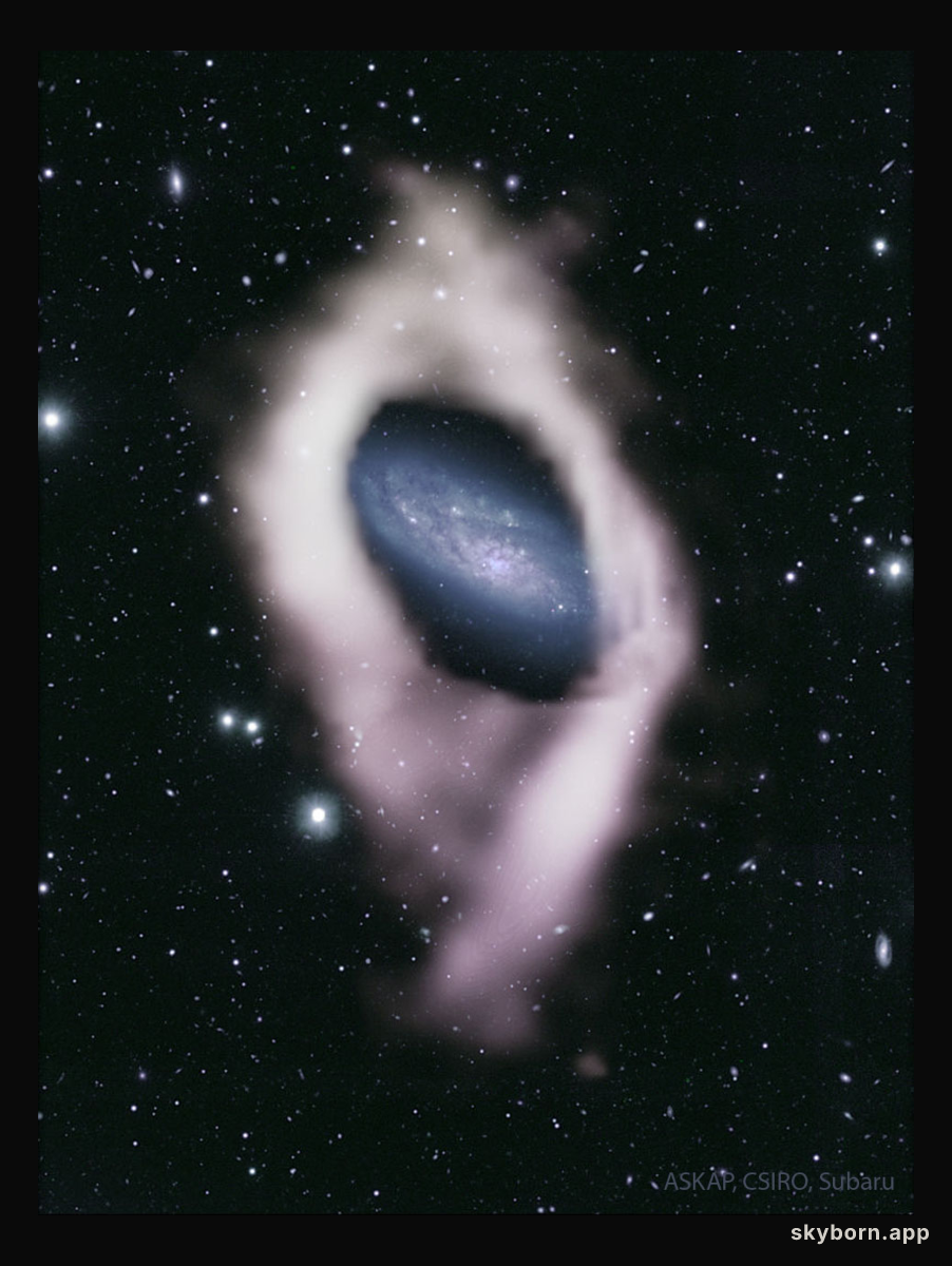 NGC 4632: Galaxy with a Hidden Polar Ring