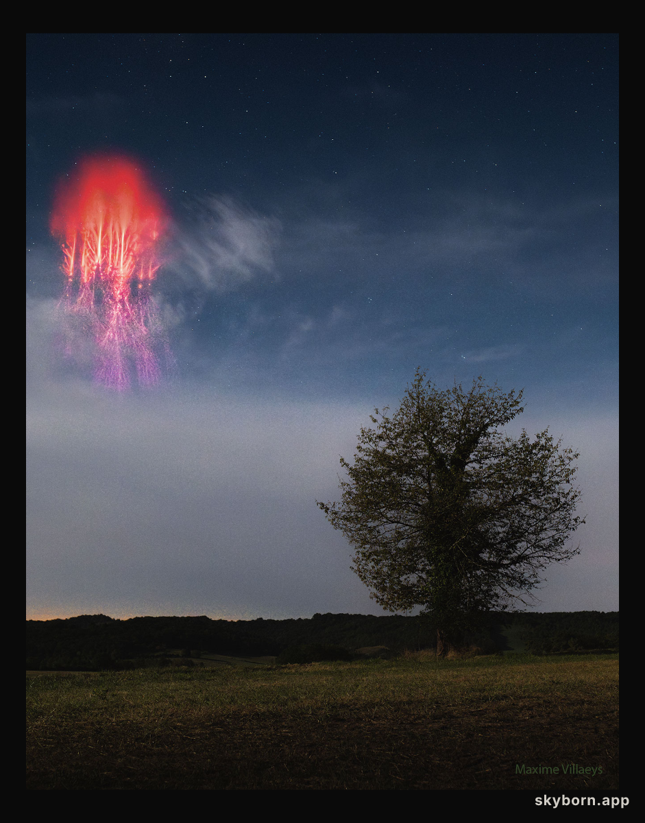 The Red Sprite and the Tree