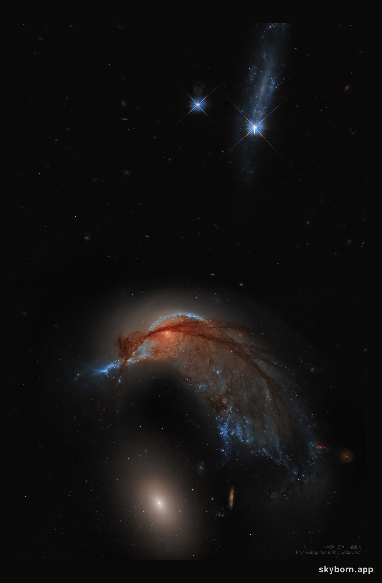 Arp 142: The Hummingbird Galaxy