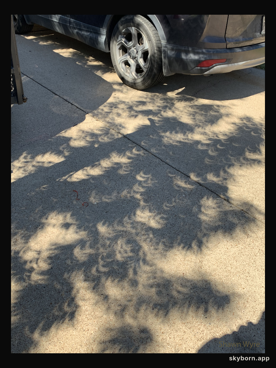 An Eclipse Tree