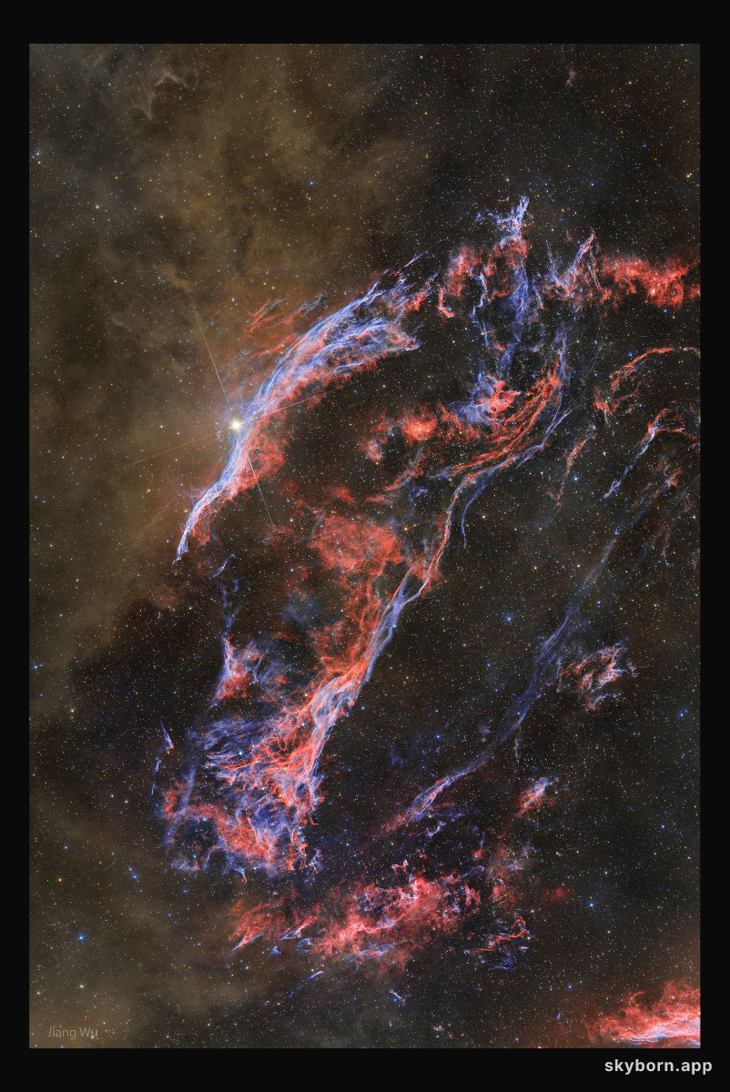 Dust and the Western Veil Nebula
