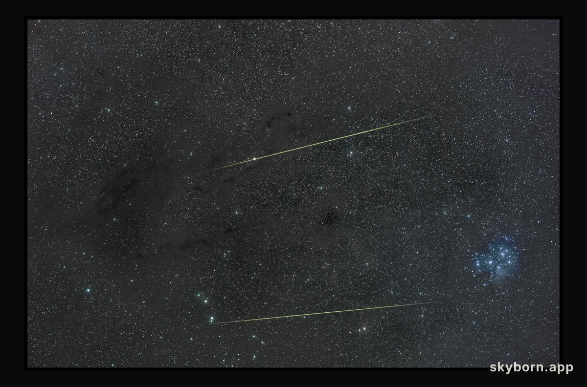 Orionids in Taurus