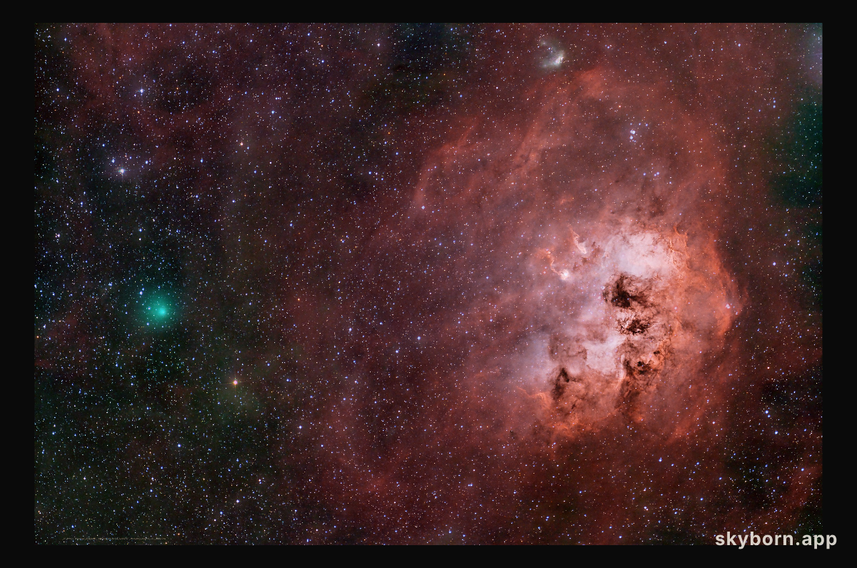 Encke and the Tadpoles